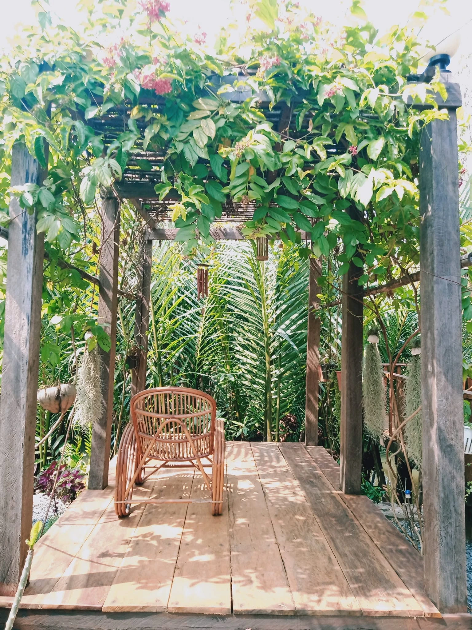 The garden and pergola at Village Life Kampot